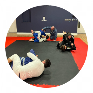 _chew valley Brazilian jiu jitsu movements